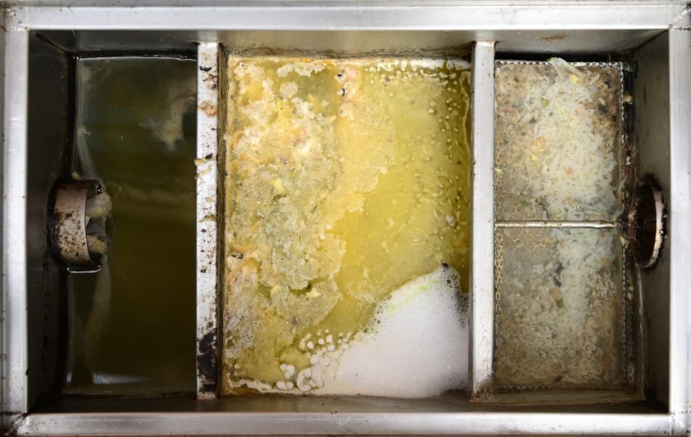 What Happens When Grease Trap Overflow Enters Sewers?