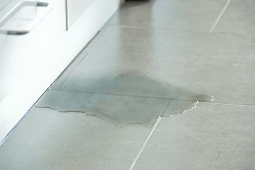 WATER LEAK
DETECTION