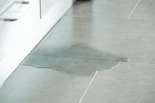 WATER LEAK
DETECTION