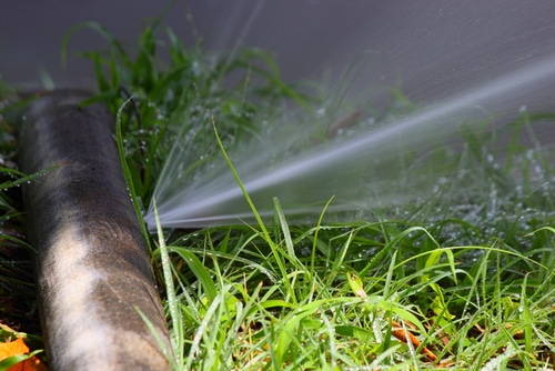 Why Is My Water Heater Leaking? Causes and What to Do First